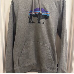 Patagonia Gray Hoodie with Bison Graphic NWOT